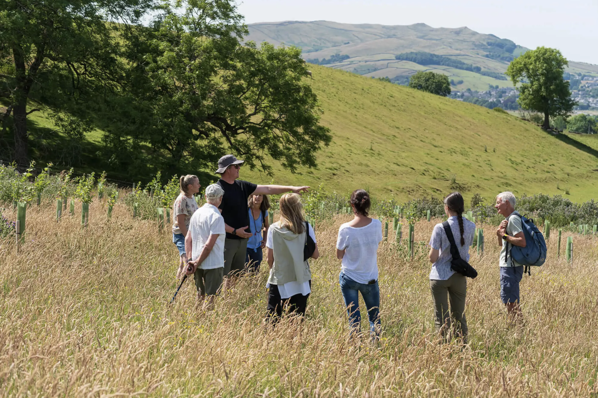 Group of people walking in a field with a guide